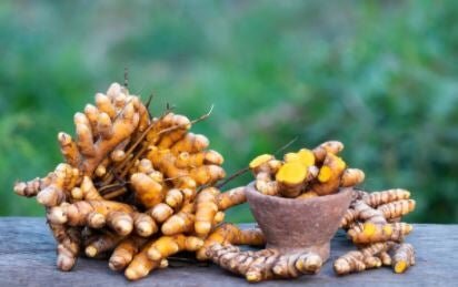 THE WONDERS OF TURMERIC CURCUMIN